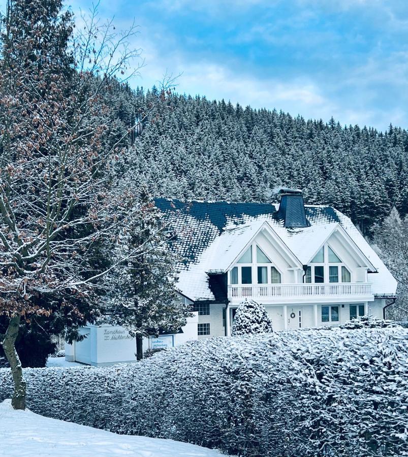 Landhaus Mühlenberg Willingen  Exterior foto